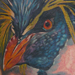 tattoo galleries/ - Rockhopper Penguin
